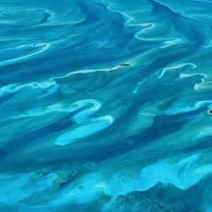 Meet your Posher, Nathalia